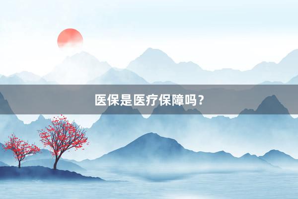 医保是医疗保障吗？