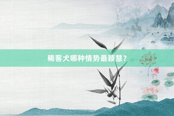 稀客犬哪种情势最颖慧?