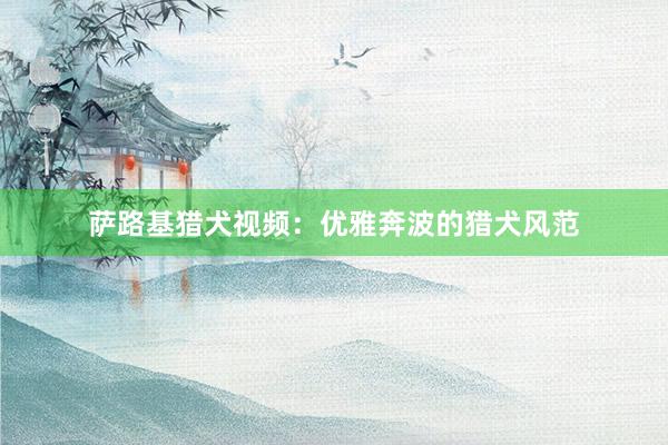 萨路基猎犬视频：优雅奔波的猎犬风范