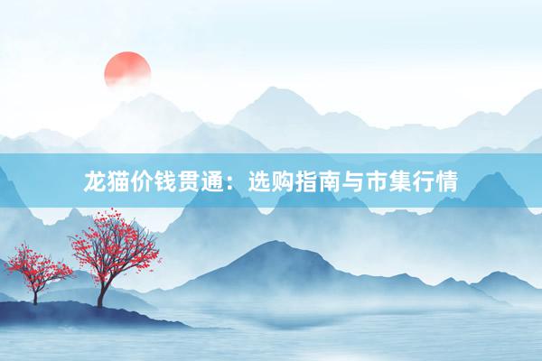 龙猫价钱贯通：选购指南与市集行情
